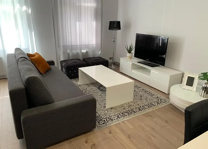 Zair Fireplace Apartments